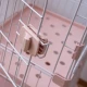 Голяма клетка за гризачи с 2 допълнителни нива