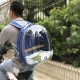 Транспортна чанта за птици с кацалка 41х29х24 см.