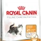 Royal Canin Hair and Skin Care 33