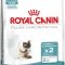 Royal Canin Hairball Care 34