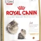 Royal Canin Kitten Persian 32