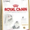 Royal Canin Persian 30