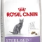 Royal Canin STERILISED Cat 37