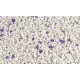 Бенто CAT's WHITE Лавандула 5 л