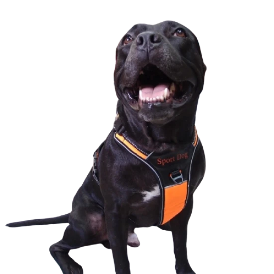 Нагръдник с къса дръжка за водене SPORT DOG за куче