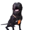 Нагръдник с къса дръжка за водене SPORT DOG за куче