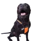Нагръдник с къса дръжка за водене SPORT DOG за куче