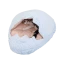 Легло от плюш Яйце